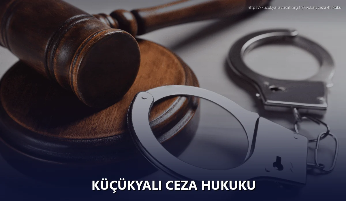 Küçükyalı Ceza Hukuku